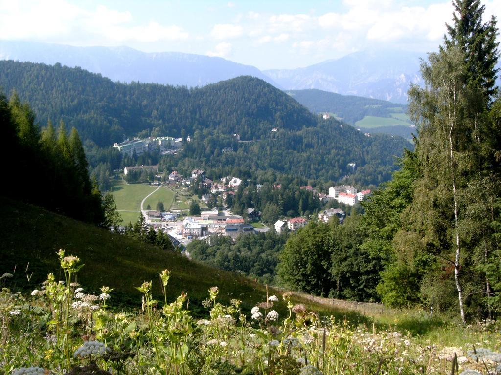 Haus Elena Am Semmering Штайнхаус-ам-Земмеринг Экстерьер фото